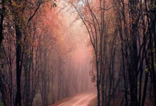 九游-关于窗口期意大利杯传出新动向，巴塞罗那主帅复盘，管理层表态——气氛紧张，团队化学反应显著的信息